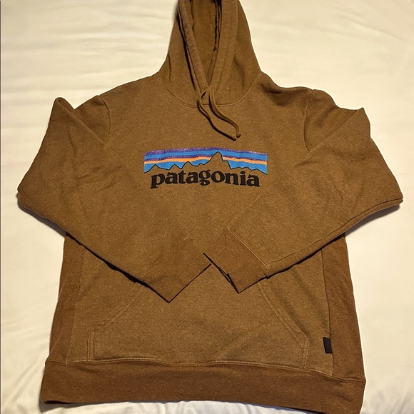 Patagonia Brown Hoodie with Logo - Picture 1 of 5